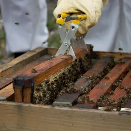 펜션 Casa Da Tia Rita