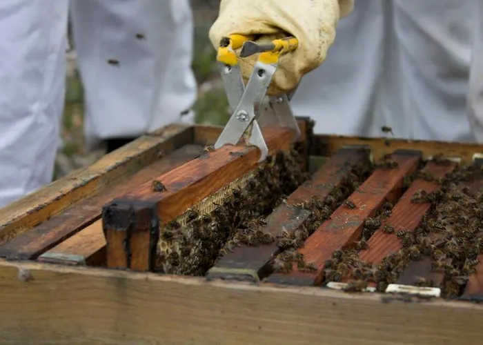 Casa vacanze Casa Da Tia Rita