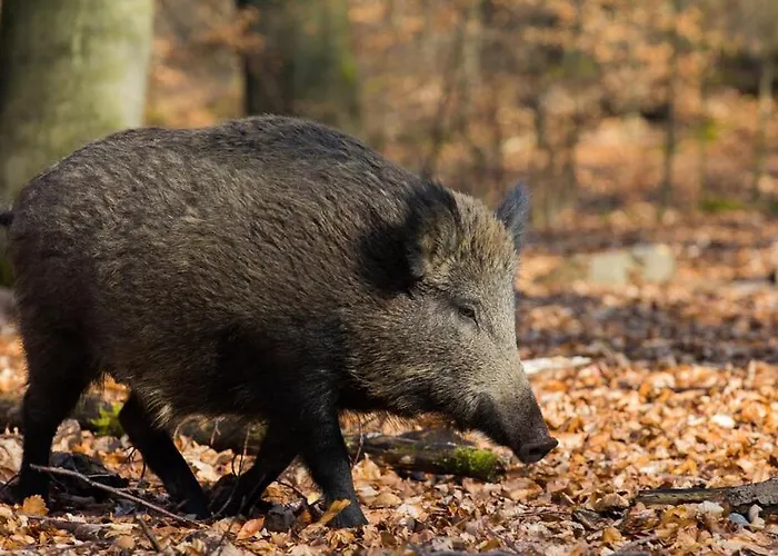 Casa vacanze Casa Da Tia Rita *