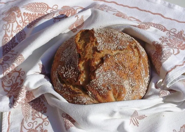 Casa Da Tia Rita Pampilhosa da Serra